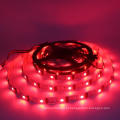 DC5V addressable WS2801 RGB led strip with factory price